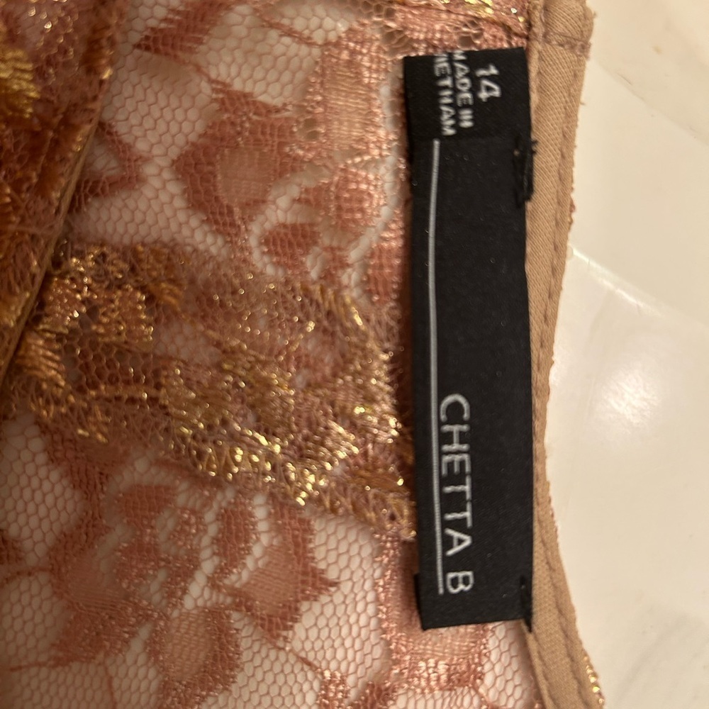 Chetta B Elegant Gold Lace Sleeveless Dress with Belt, Size 14 - Picture 7 of 9